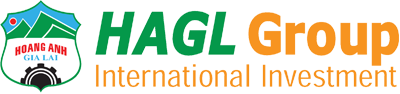 HAGL Group International Investment